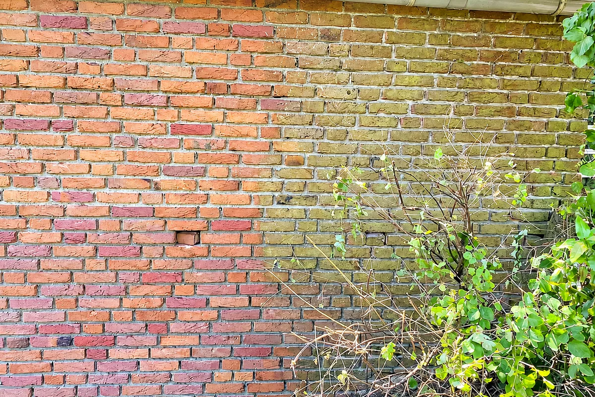 Gevel tijdens de reiniging, deels schoon en deels met groene aanslag